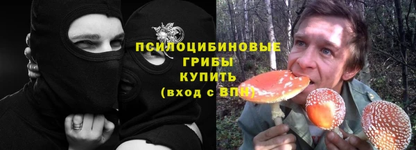 стаф Инта