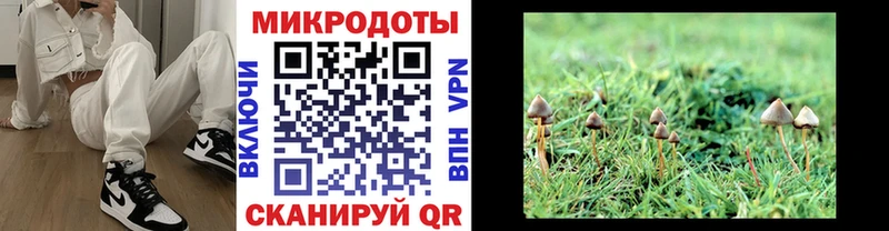 Псилоцибиновые грибы мицелий  ссылка на мегу вход  Кочубеевское  где найти  